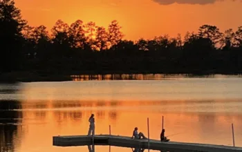 Adult Summer Camp